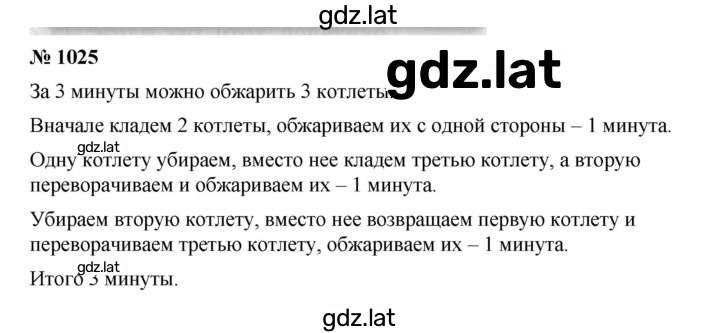 Решение задания № 1025 — страница 1