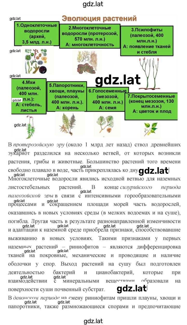 Решение задания № 1 — страница 2