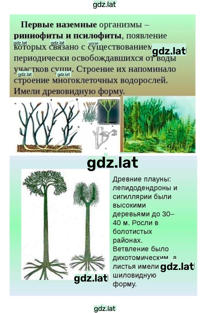 Решение задания № 1 — страница 7