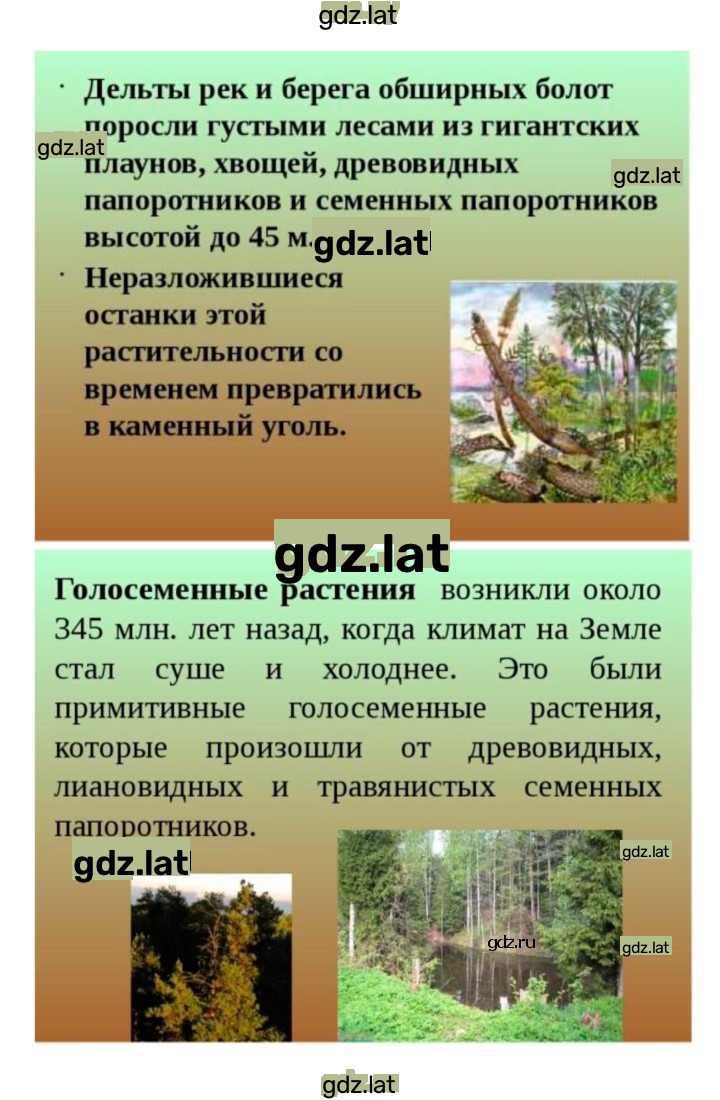 Решение задания № 1 — страница 8
