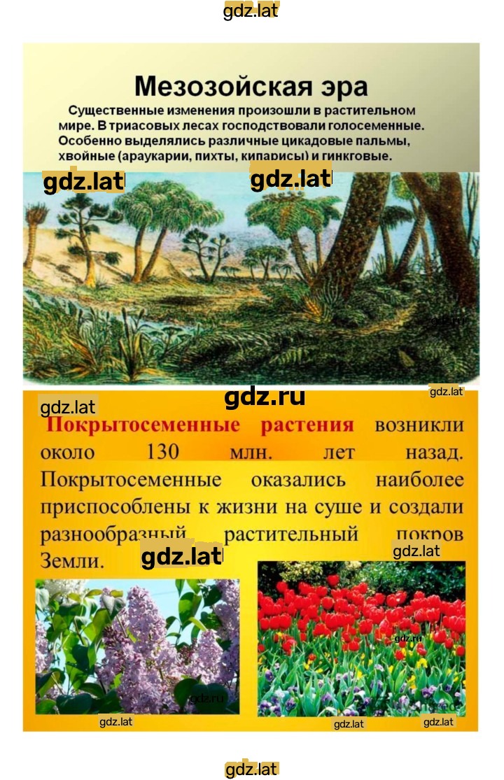Решение задания № 1 — страница 9