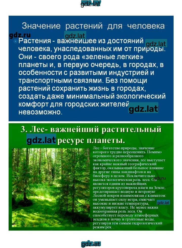 Решение задания № 1 — страница 11