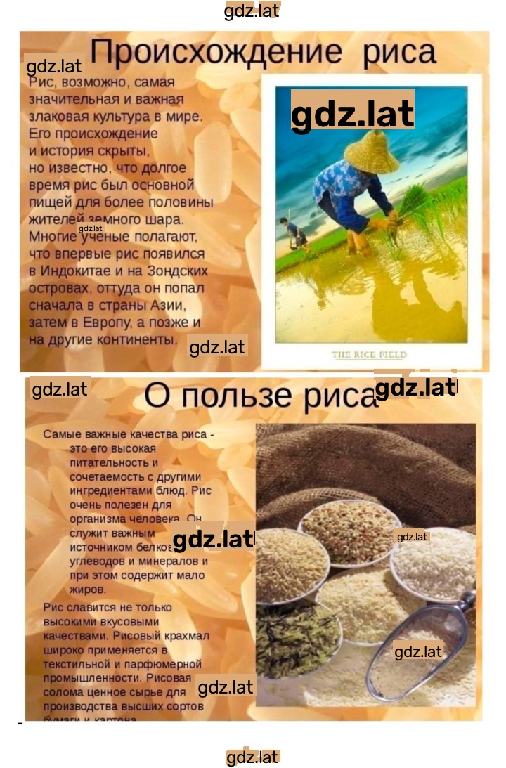 Решение задания № 10 — страница 4
