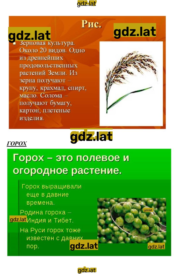 Решение задания № 10 — страница 5