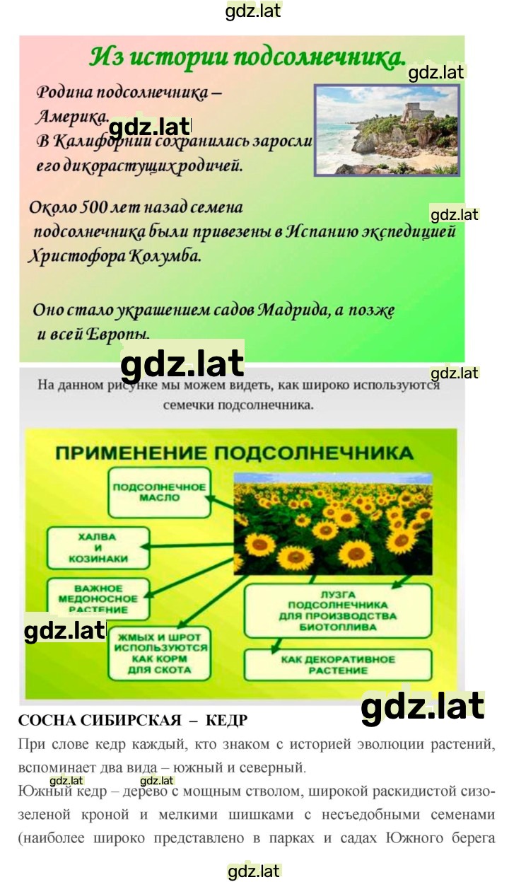 Решение задания № 10 — страница 10