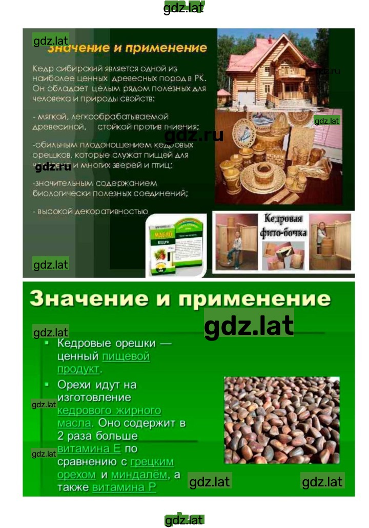 Решение задания № 10 — страница 14