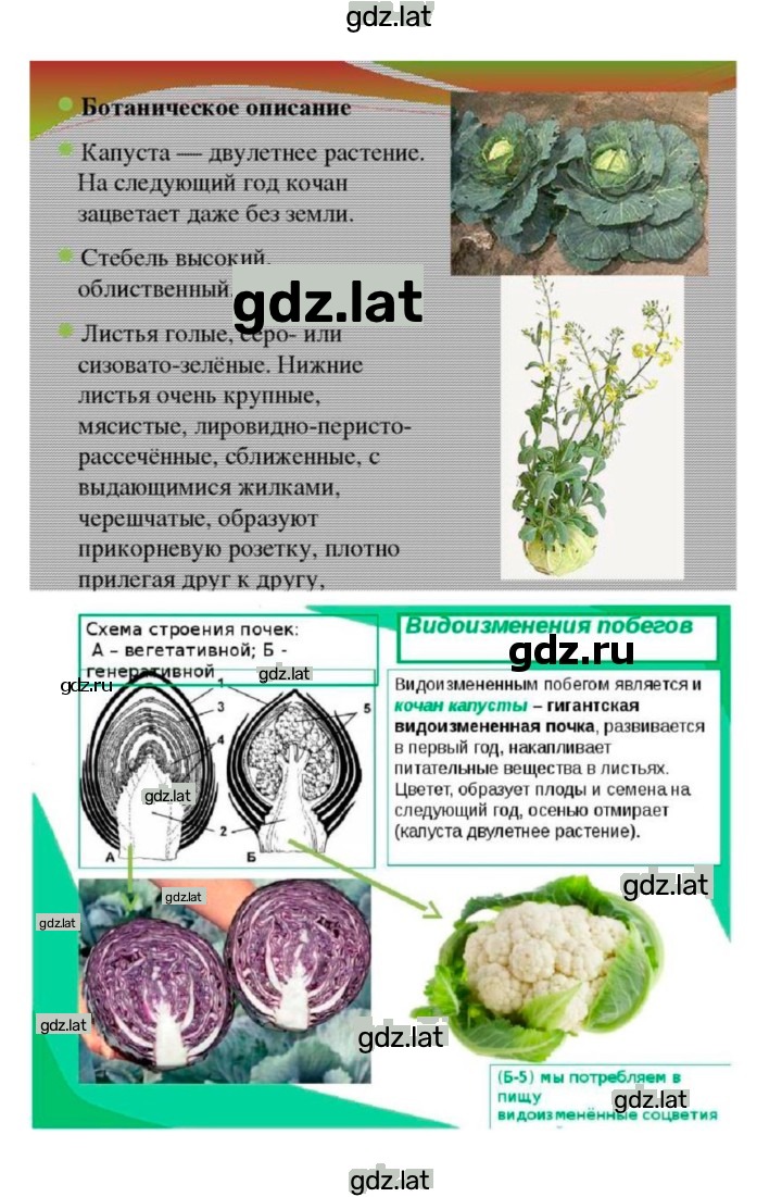 Решение задания № 15 — страница 4