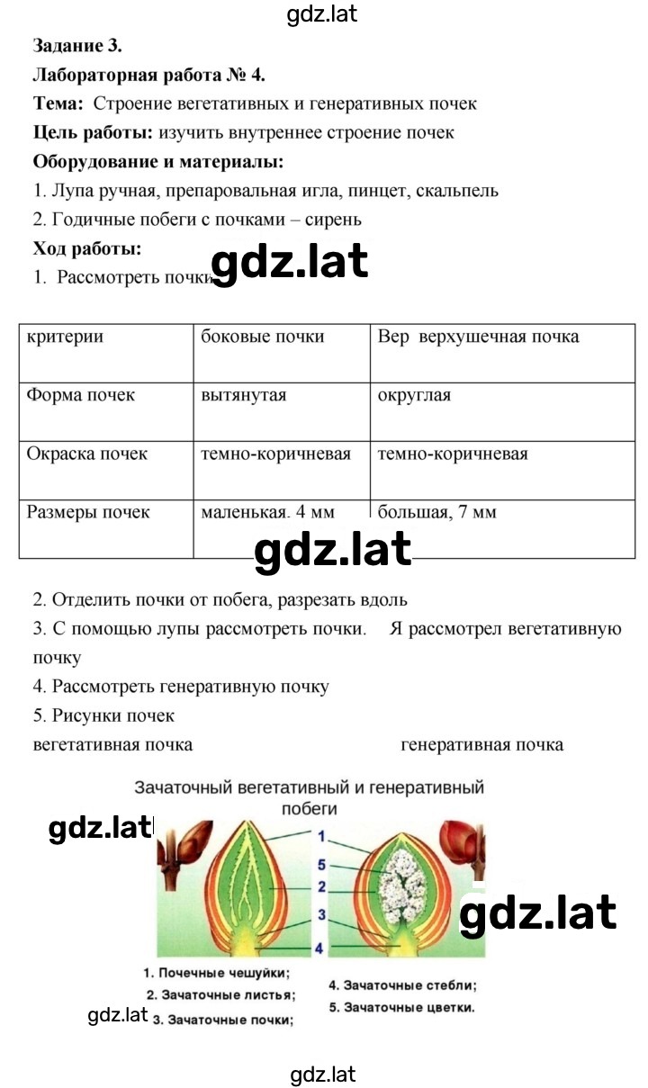 Решение задания № 16 — страница 2