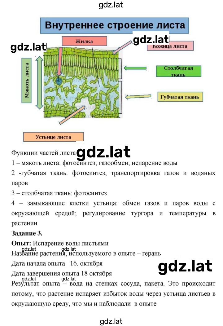 Решение задания № 17 — страница 2
