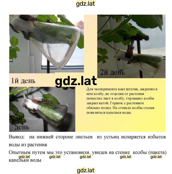 Решение задания № 17 — страница 3