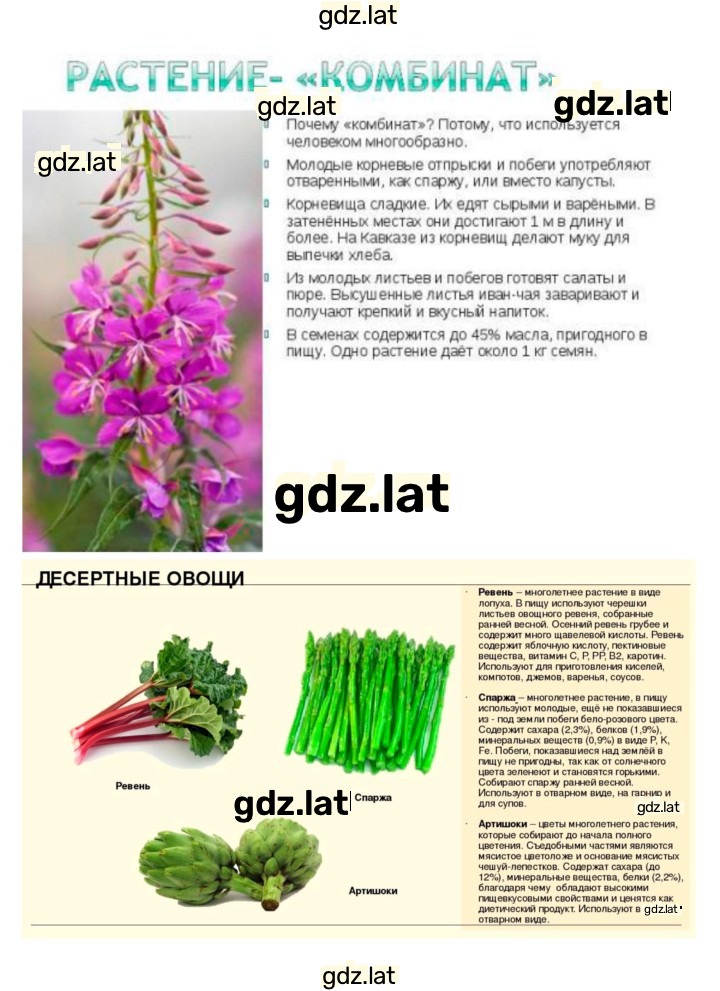 Решение задания № 18 — страница 4