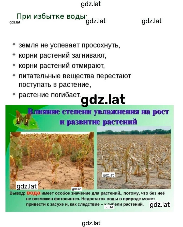 Решение задания № 19 — страница 3