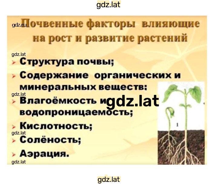 Решение задания № 19 — страница 4