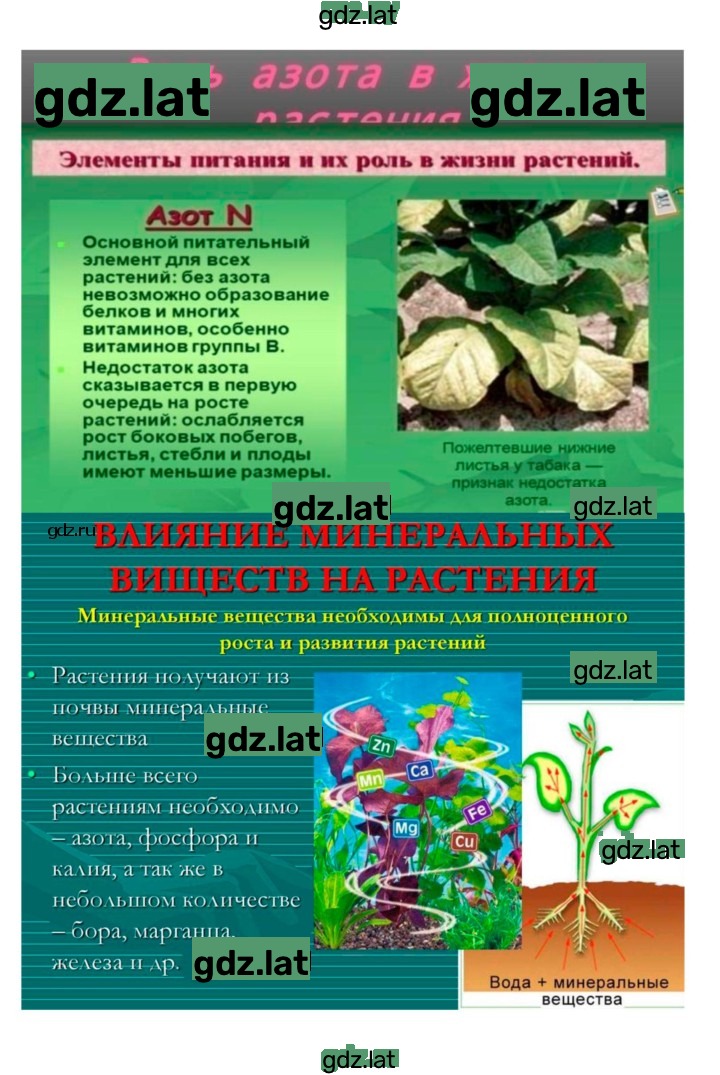 Решение задания № 19 — страница 5