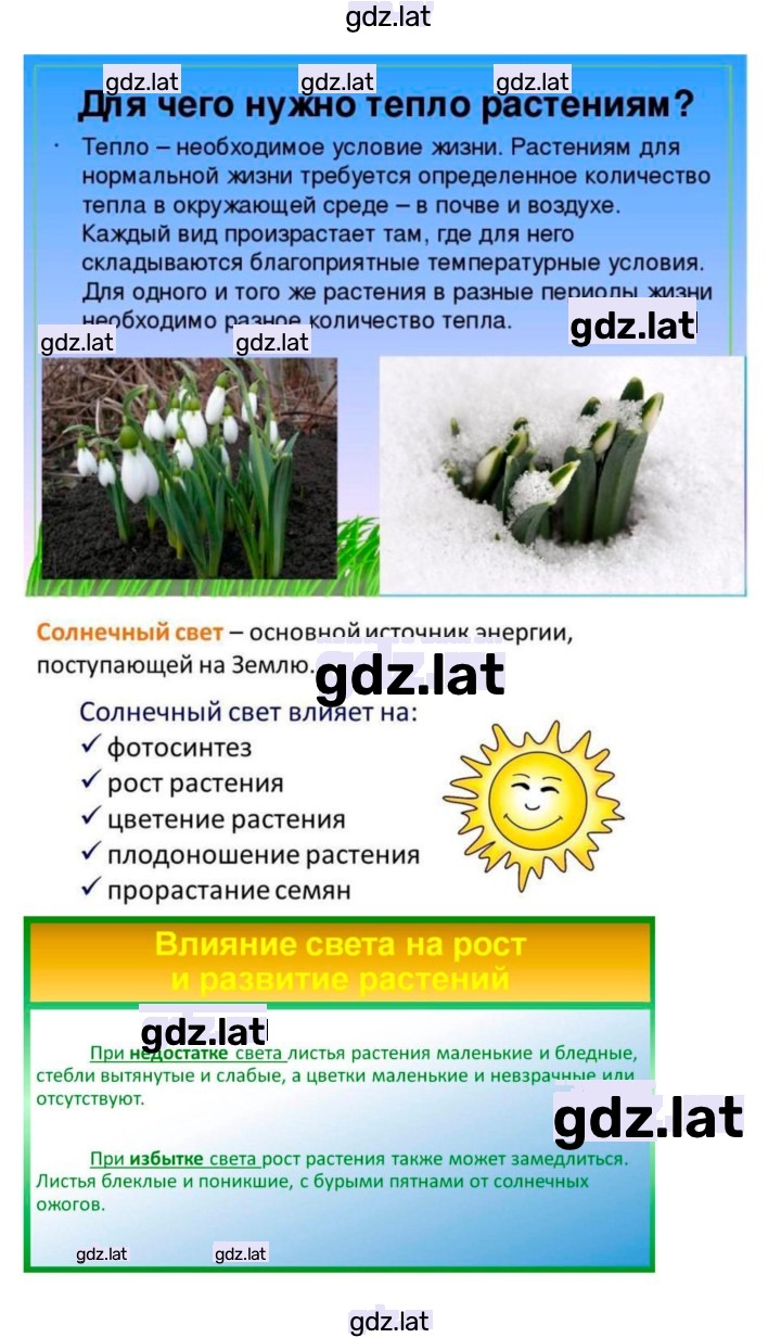 Решение задания № 19 — страница 7