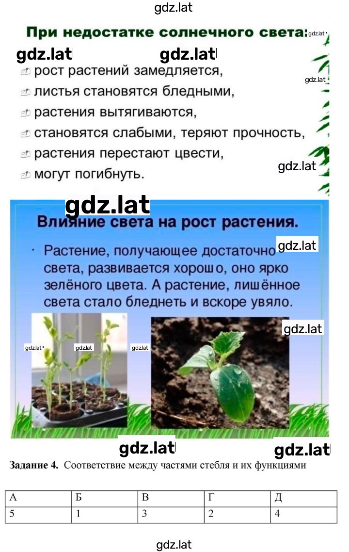 Решение задания № 19 — страница 8
