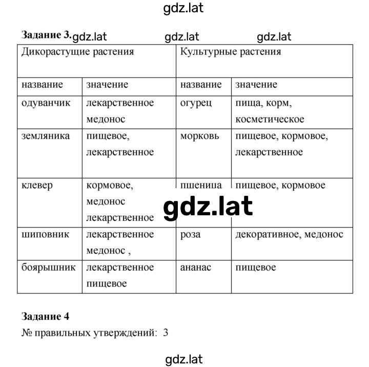 Решение задания № 2 — страница 2