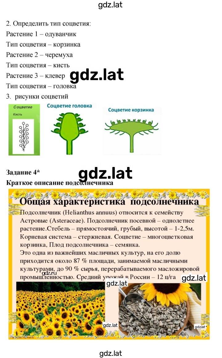 Решение задания № 21 — страница 4