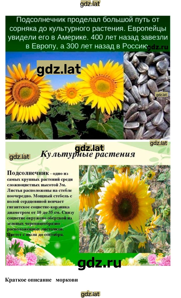 Решение задания № 21 — страница 5