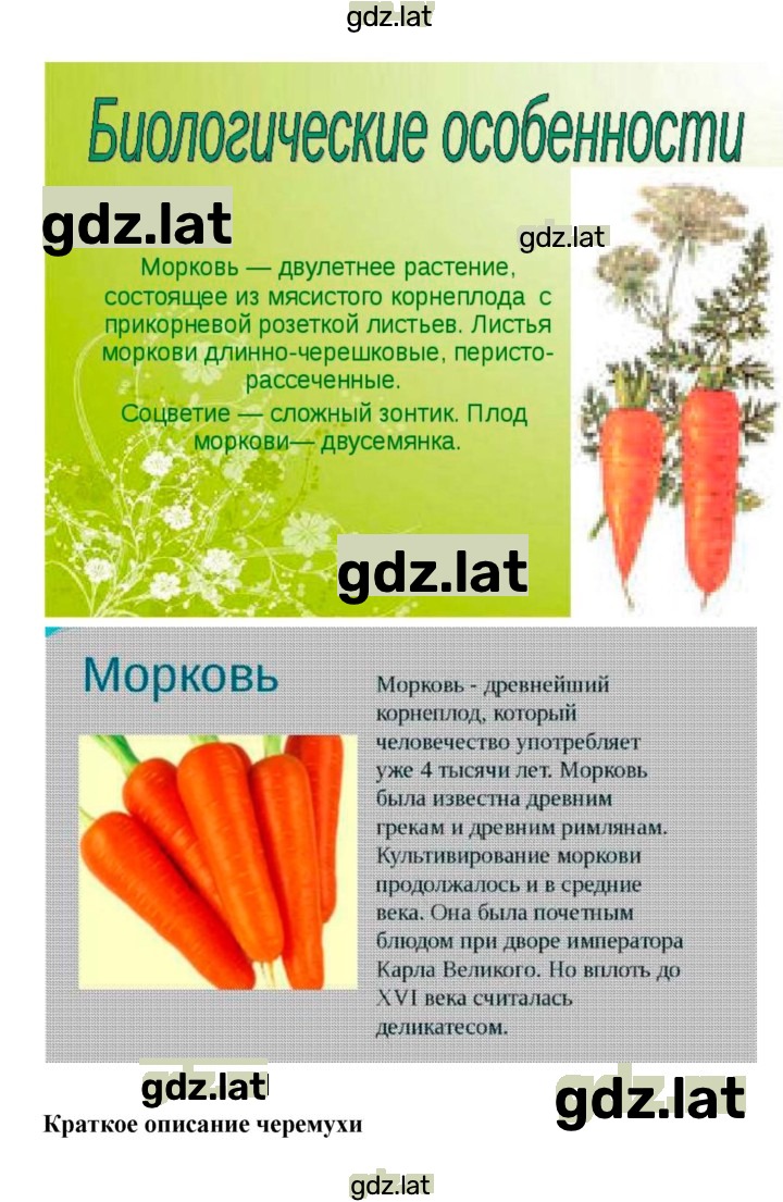 Решение задания № 21 — страница 6
