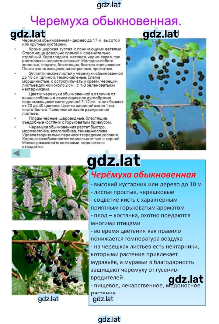 Решение задания № 21 — страница 7