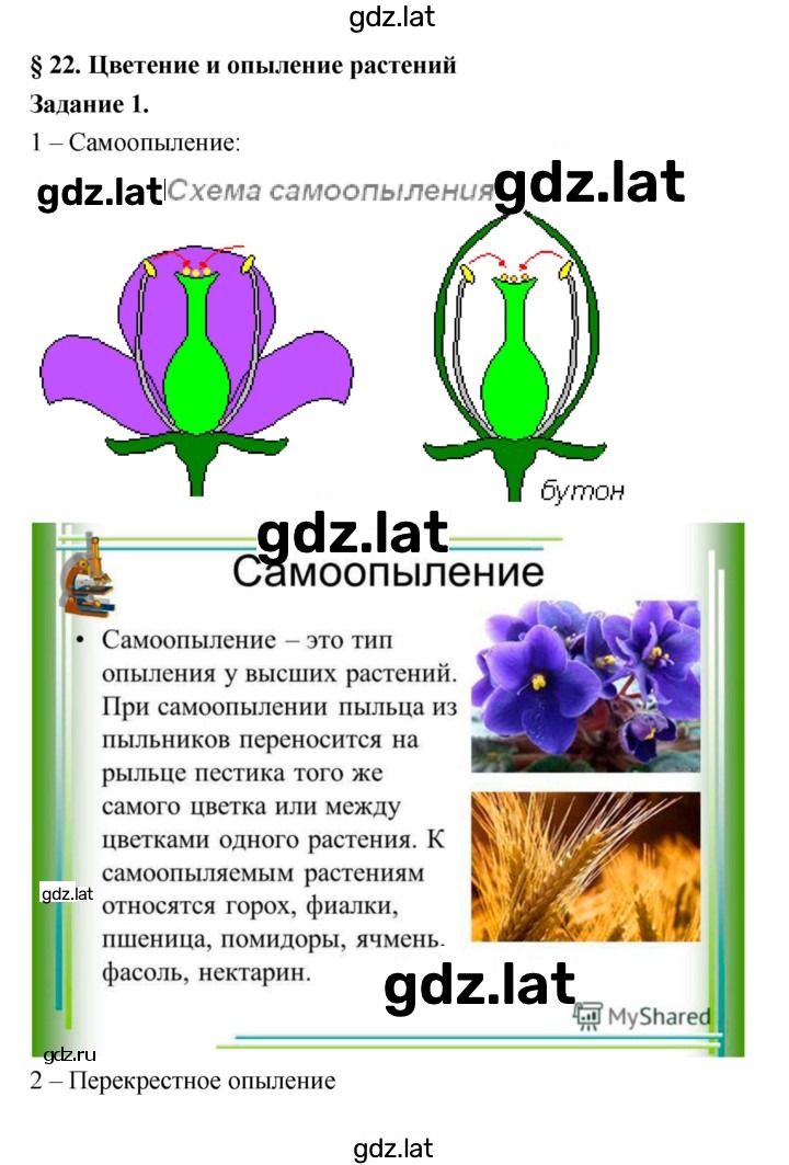 Решение задания № 22 — страница 1