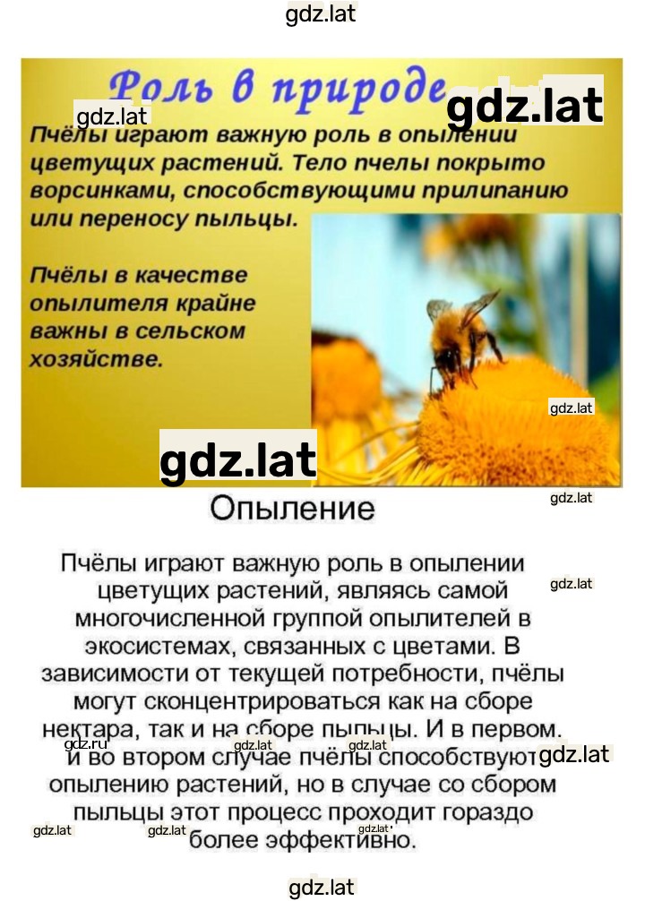 Решение задания № 22 — страница 4