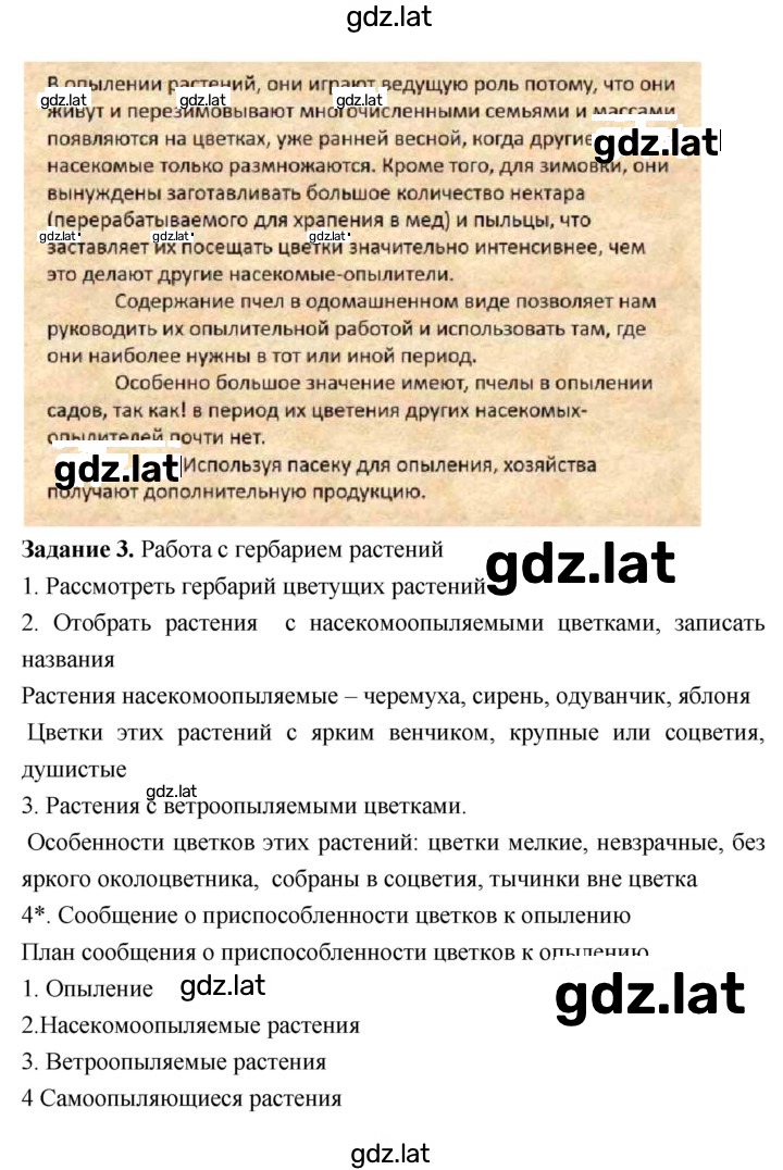 Решение задания № 22 — страница 5