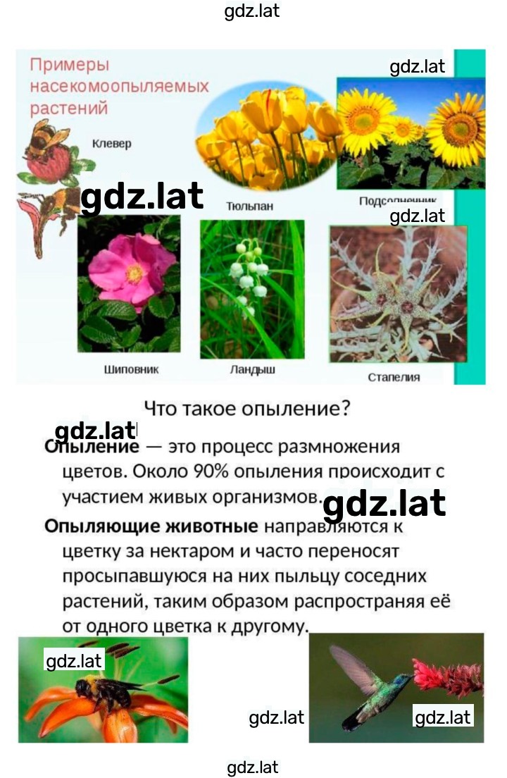 Решение задания № 22 — страница 7