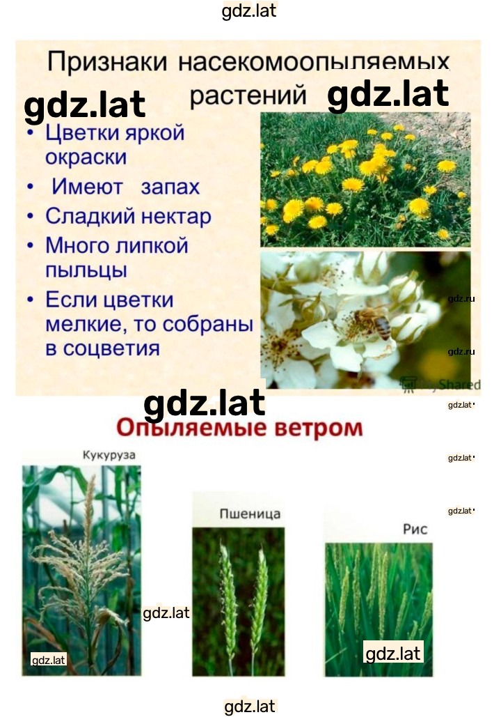 Решение задания № 22 — страница 8