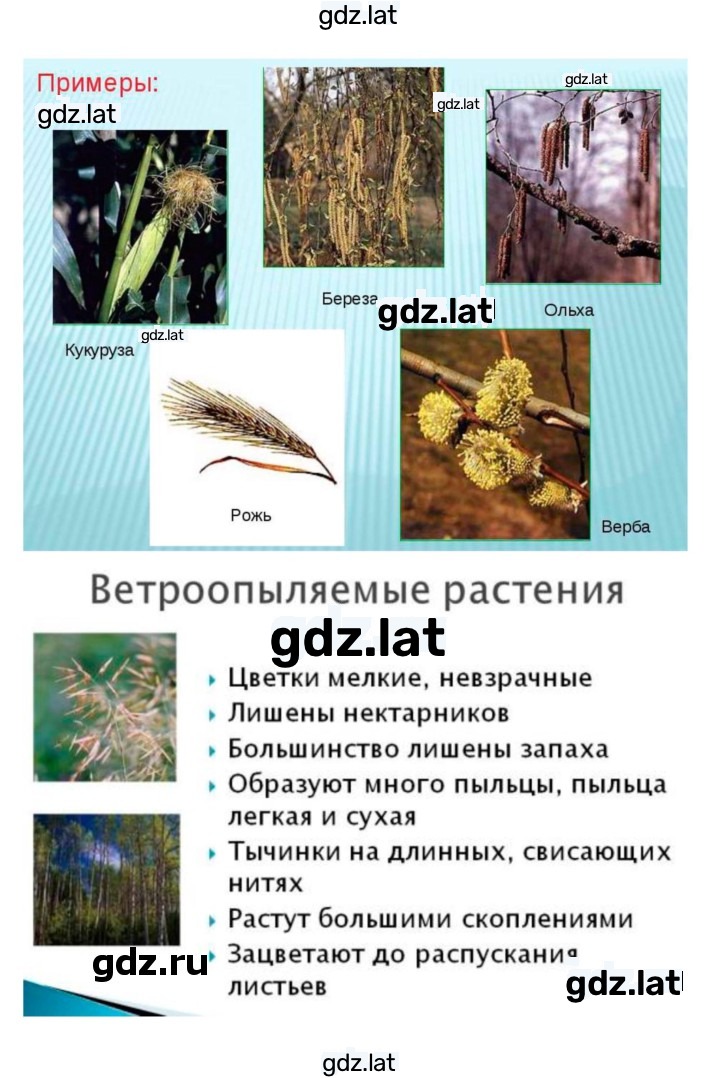 Решение задания № 22 — страница 9