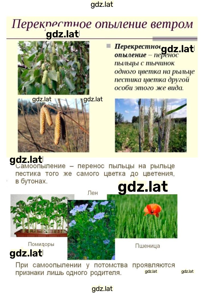 Решение задания № 22 — страница 10