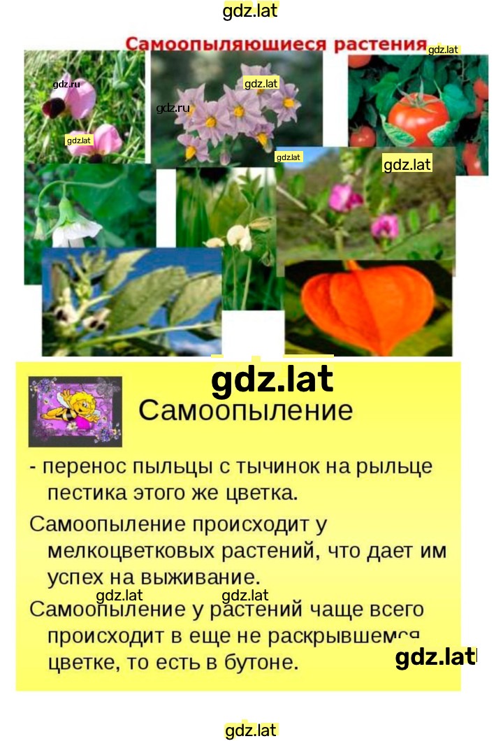 Решение задания № 22 — страница 11