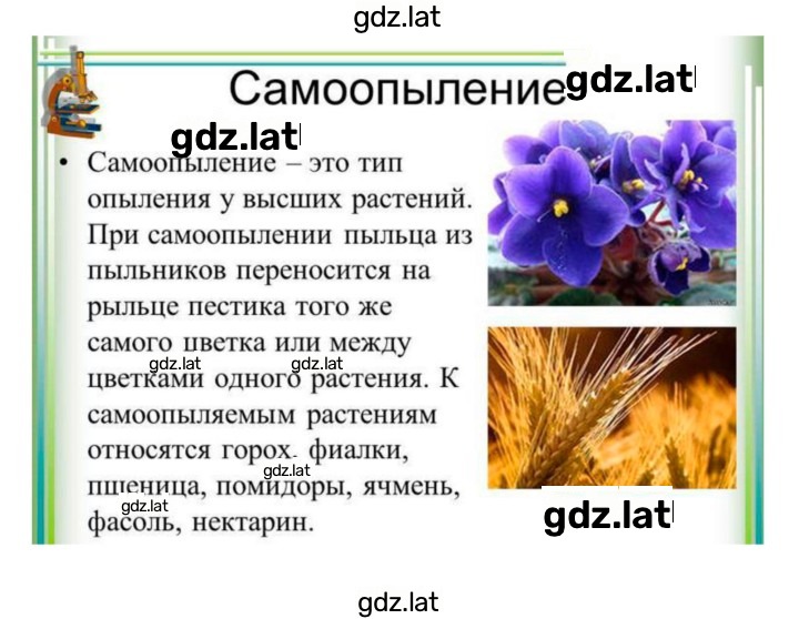 Решение задания № 22 — страница 12