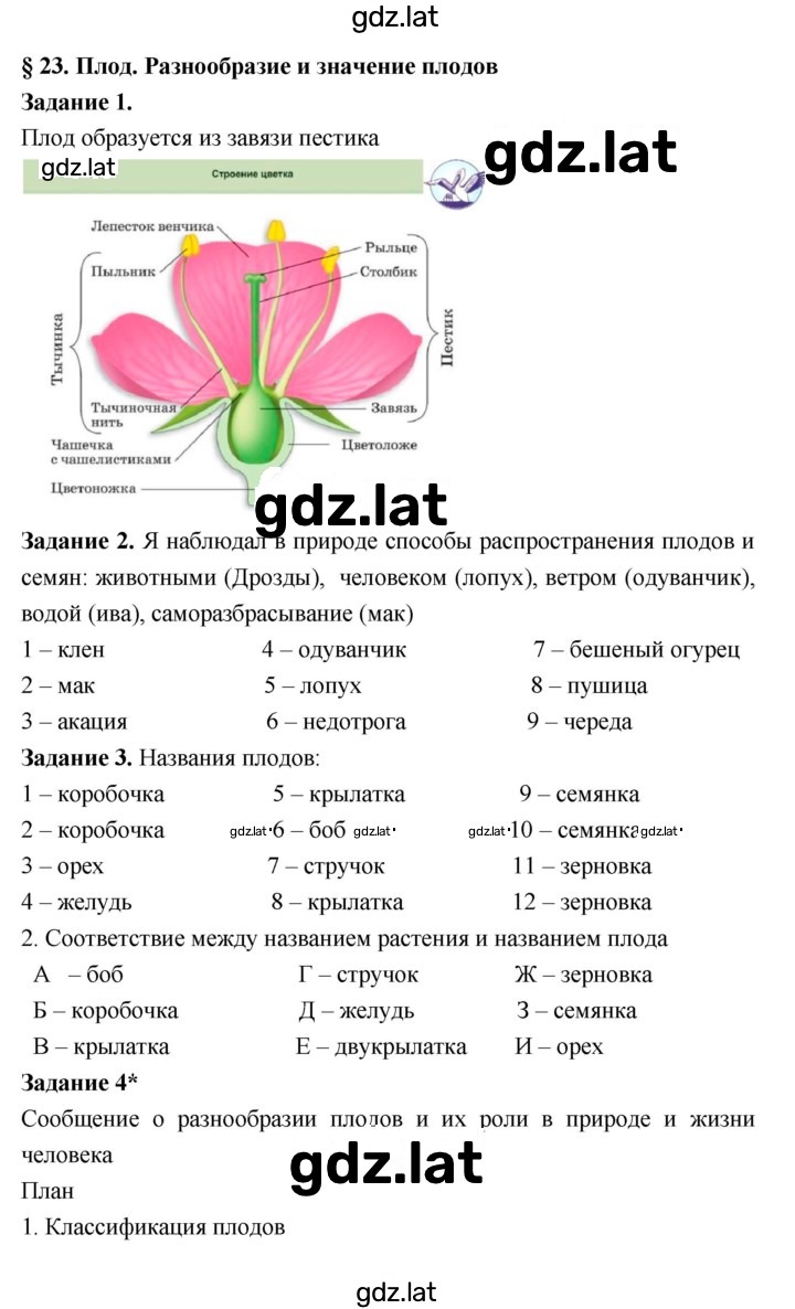 Решение задания № 23 — страница 1