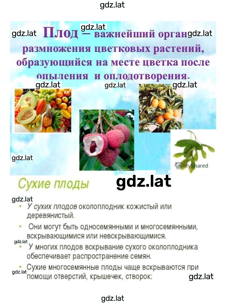 Решение задания № 23 — страница 3