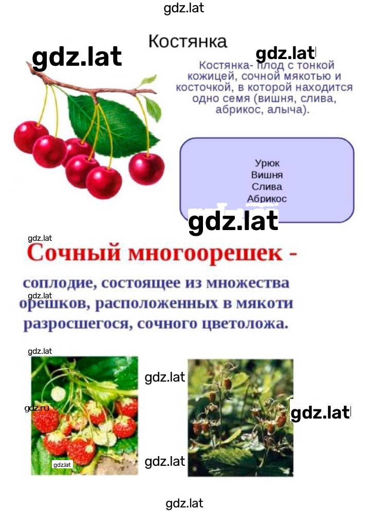Решение задания № 23 — страница 8