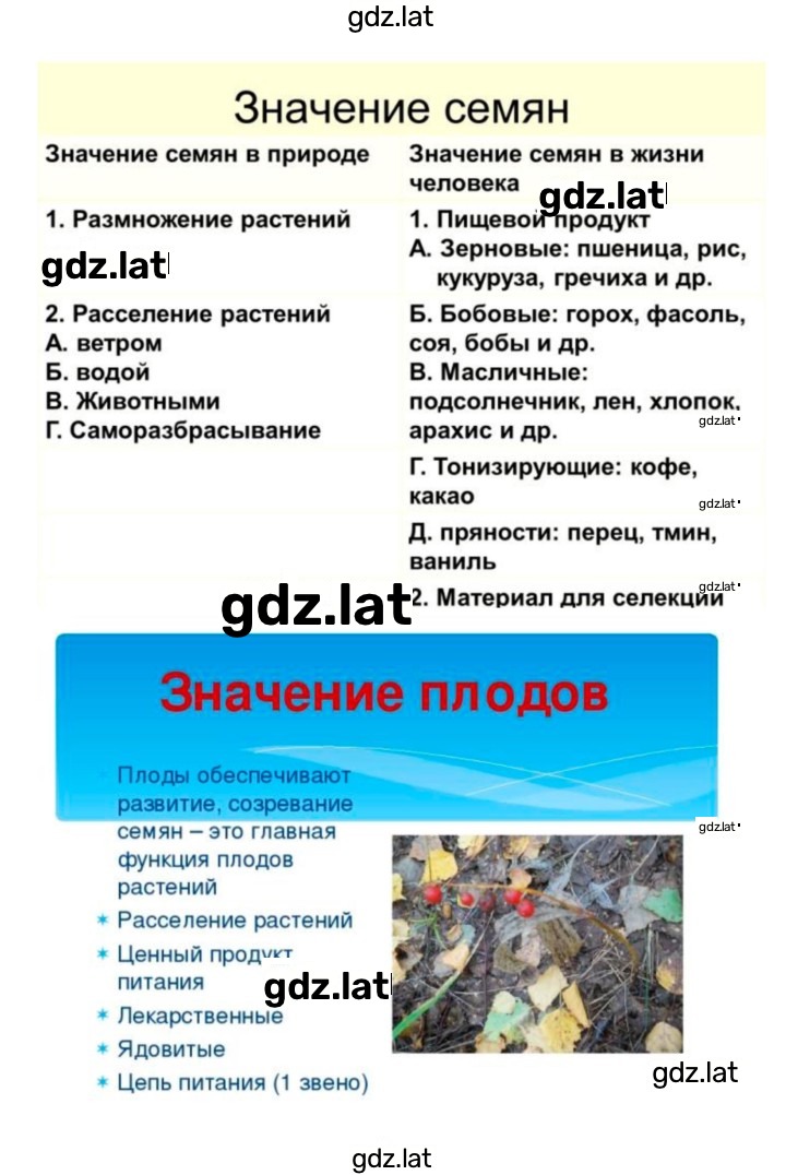 Решение задания № 23 — страница 10