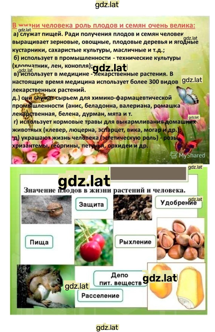 Решение задания № 23 — страница 11