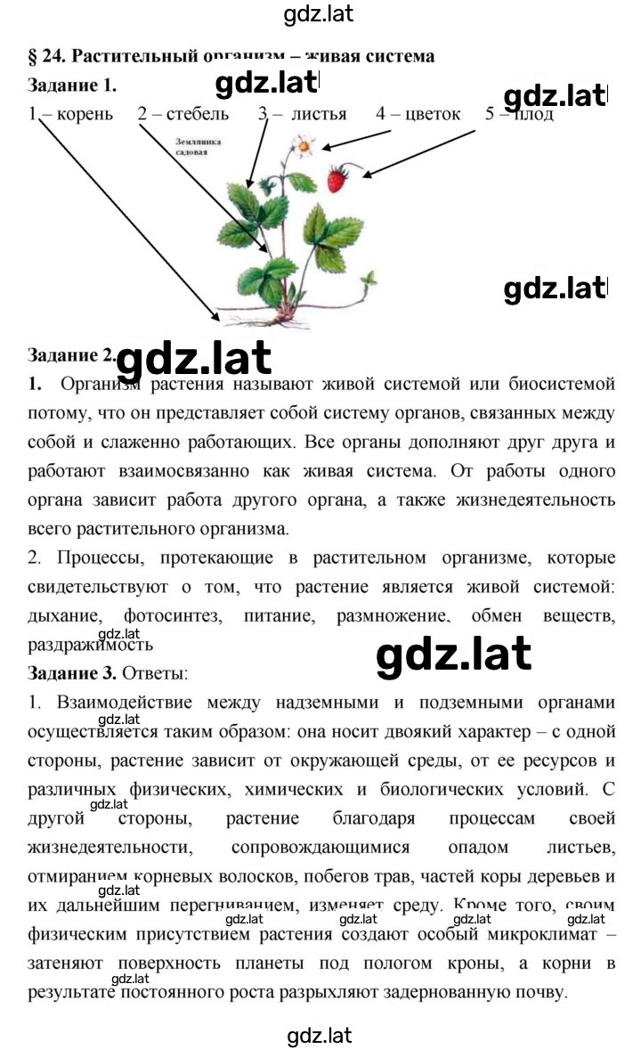 Решение задания № 24 — страница 1