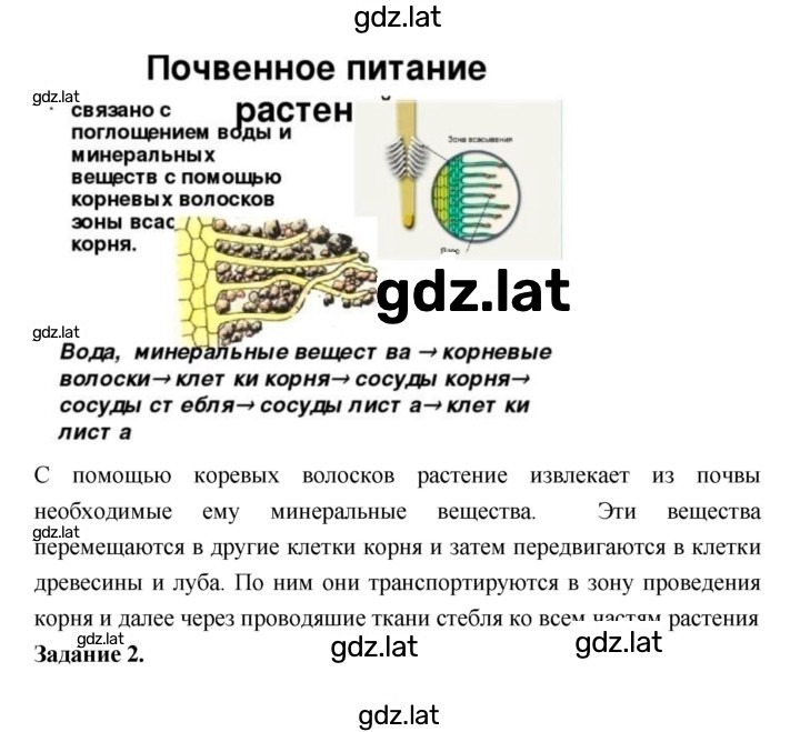 Решение задания № 25 — страница 2