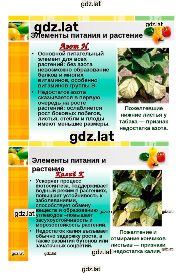 Решение задания № 25 — страница 8