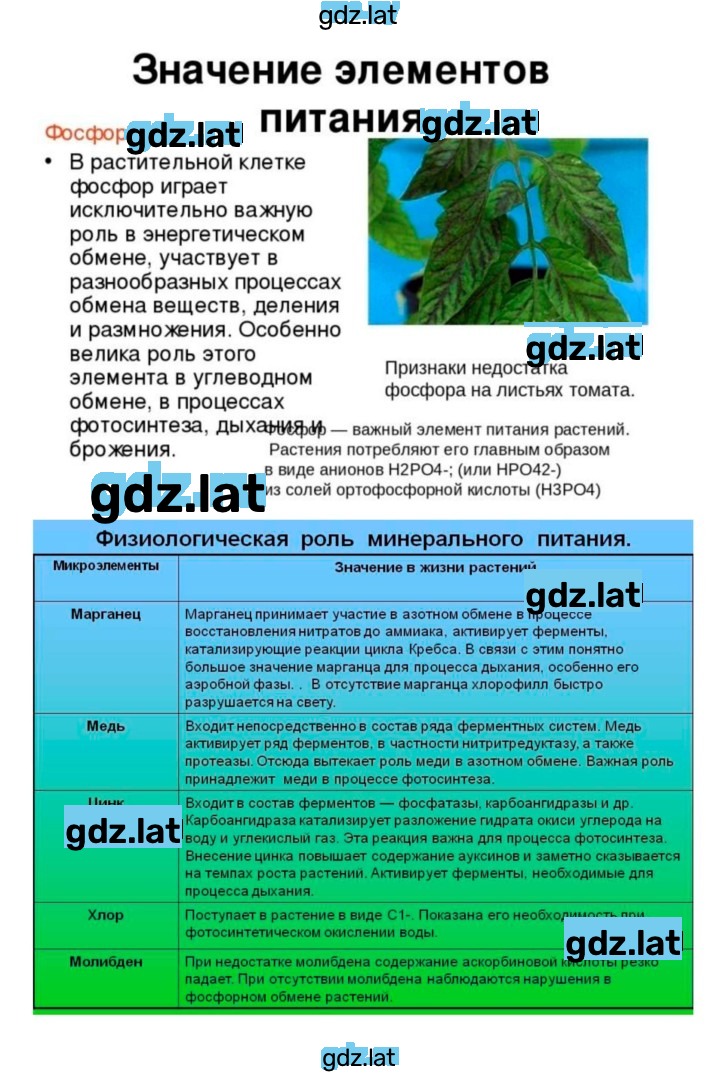 Решение задания № 25 — страница 9