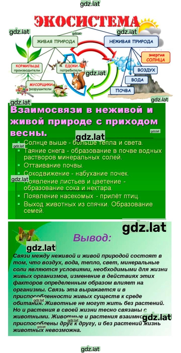 Решение задания № 27 — страница 5