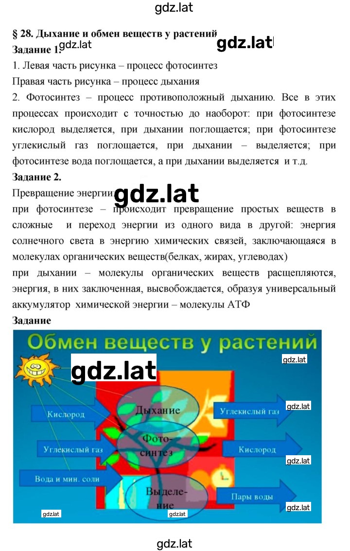 Решение задания № 28 — страница 1