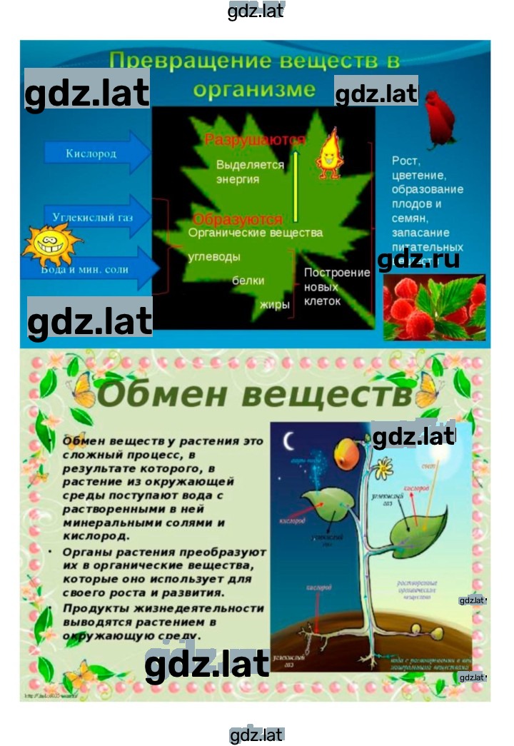 Решение задания № 28 — страница 2