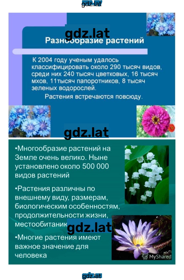 Решение задания № 3 — страница 3