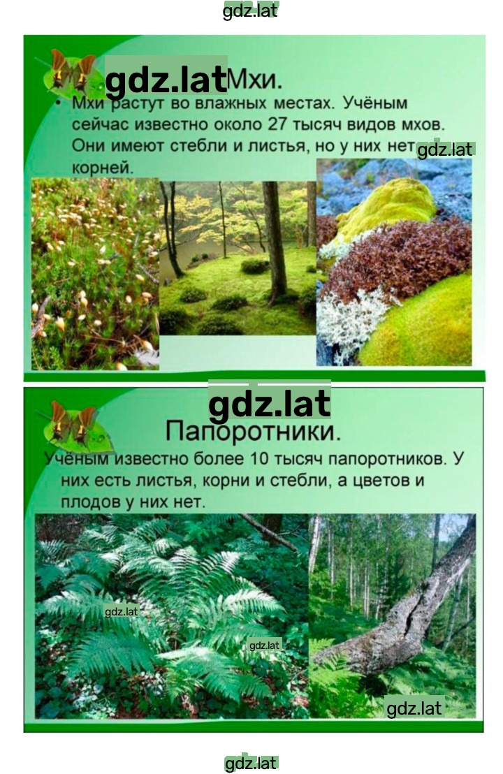 Решение задания № 3 — страница 5