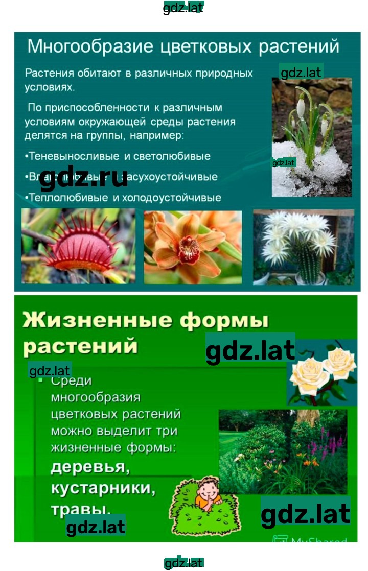 Решение задания № 3 — страница 7