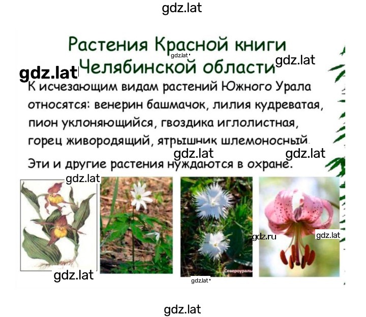 Решение задания № 3 — страница 8
